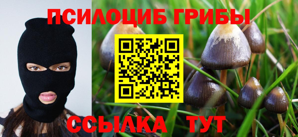 Галлюциногенные грибы Psilocybine cubensis  Вход с VPN  Пермь 