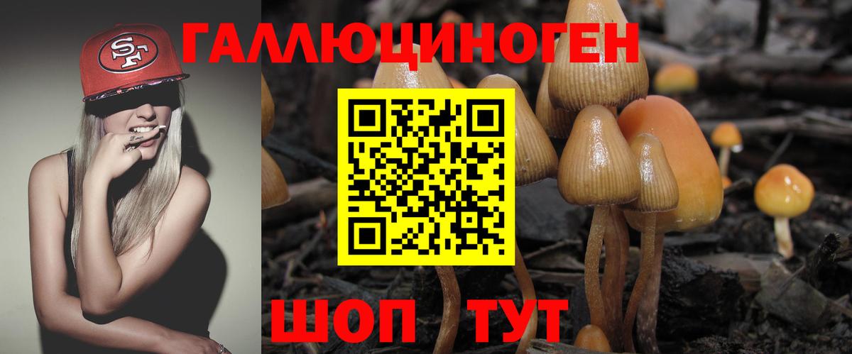 Галлюциногенные грибы Magic Shrooms Пермь